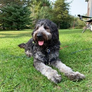 Meet your Posher, Madison